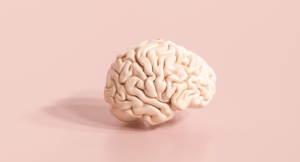 Brain on pink background