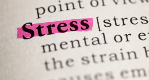 The word stress typed and highlighted